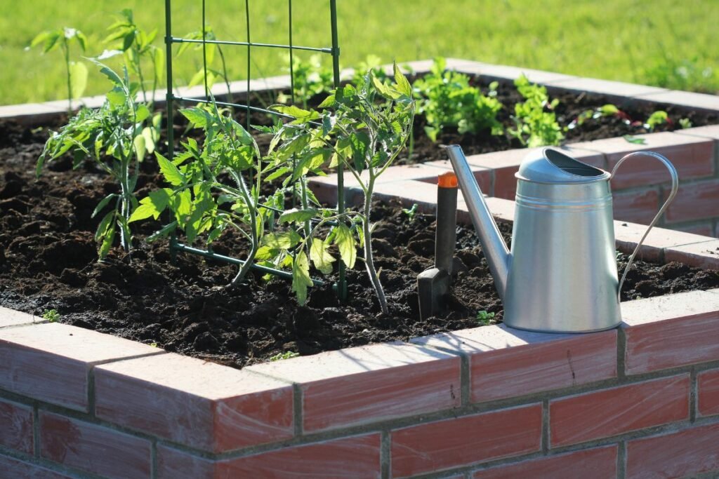 Svarbios taisyklės auginantiems lauke
