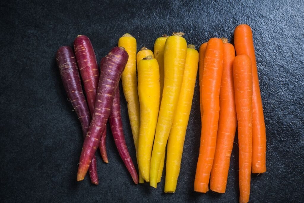 Morkų rūšys ir jų auginimo ypatybės