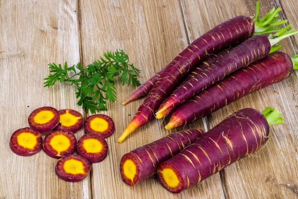 Violetinės morkos – augintojo perspektyva