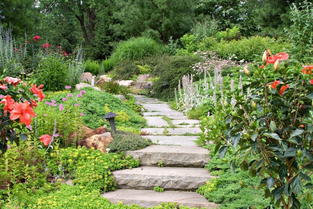 Natūralistinio sodo priežiūra: mažiau yra daugiau