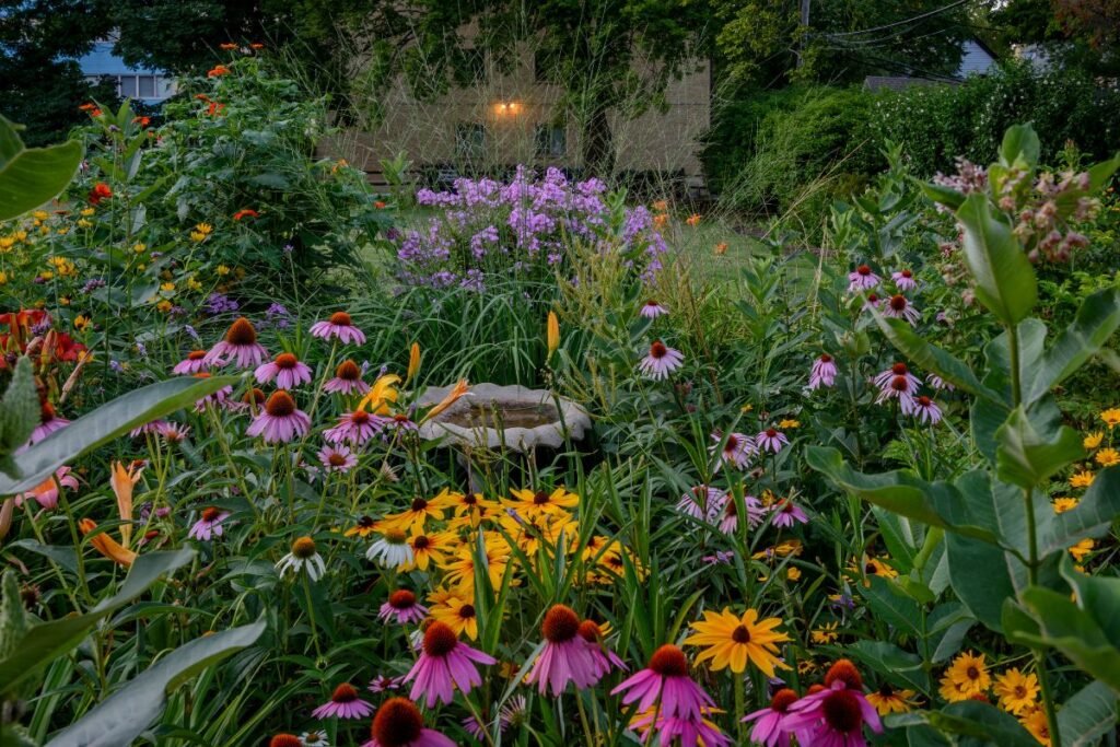 Natūralistinis sodas: vanduo ir gyvybės oazės