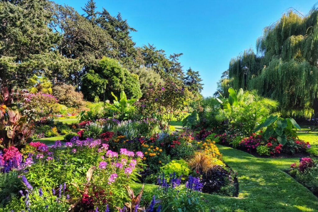 Augalų parinkimas ir dinamiška estetika