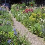 Natūralistinis sodas: kaip sukurti estetišką ekosistemą savo sklype?