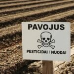 Pesticidai sode: kuo jie kenksmingi dirvai ir kokios alternatyvos iš tikrųjų veikia?