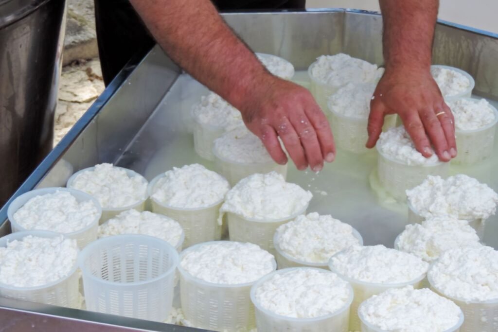 Kaip gaminama rikotos sūris?