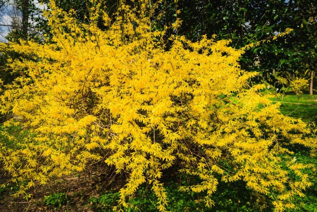 Dažniausios klaidos, kurias daro pradedantieji