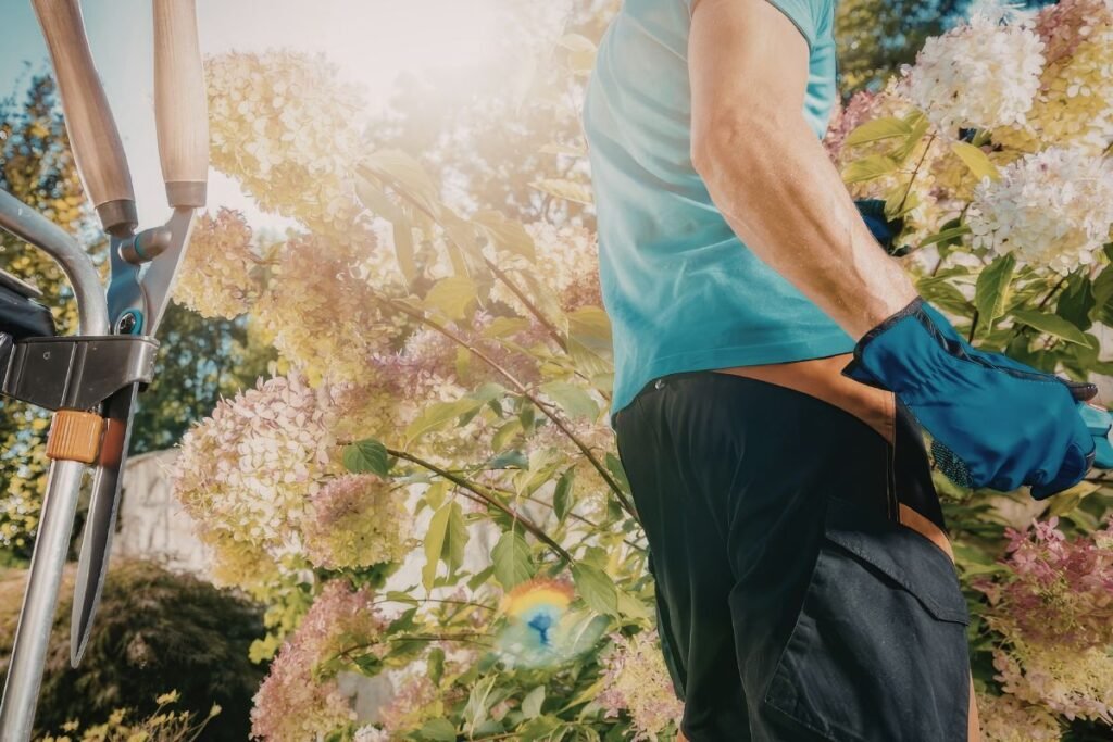 Pasiruošimas: įrankiai ir saugumas