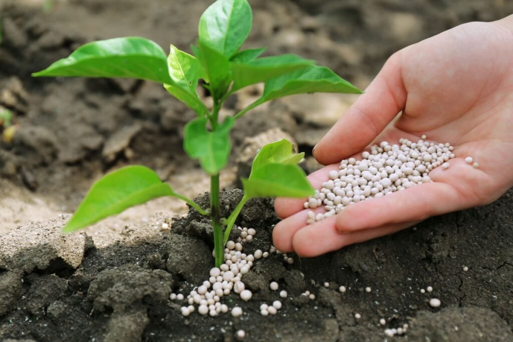 Naudojimo instrukcija: kiek ir kam naudoti?