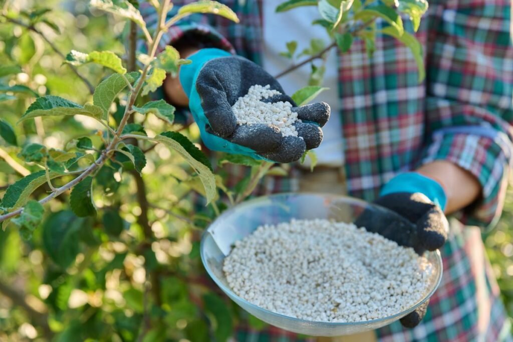 Kas yra superfosfatas ir kodėl jis toks svarbus?