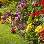 Svogūninės gėlės: 10 rūšių, kurias pasodinę balandį, paskandinsite vasaros sodą spalvose