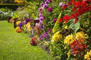 Svogūninės gėlės: 10 rūšių, kurias pasodinę balandį, paskandinsite vasaros sodą spalvose