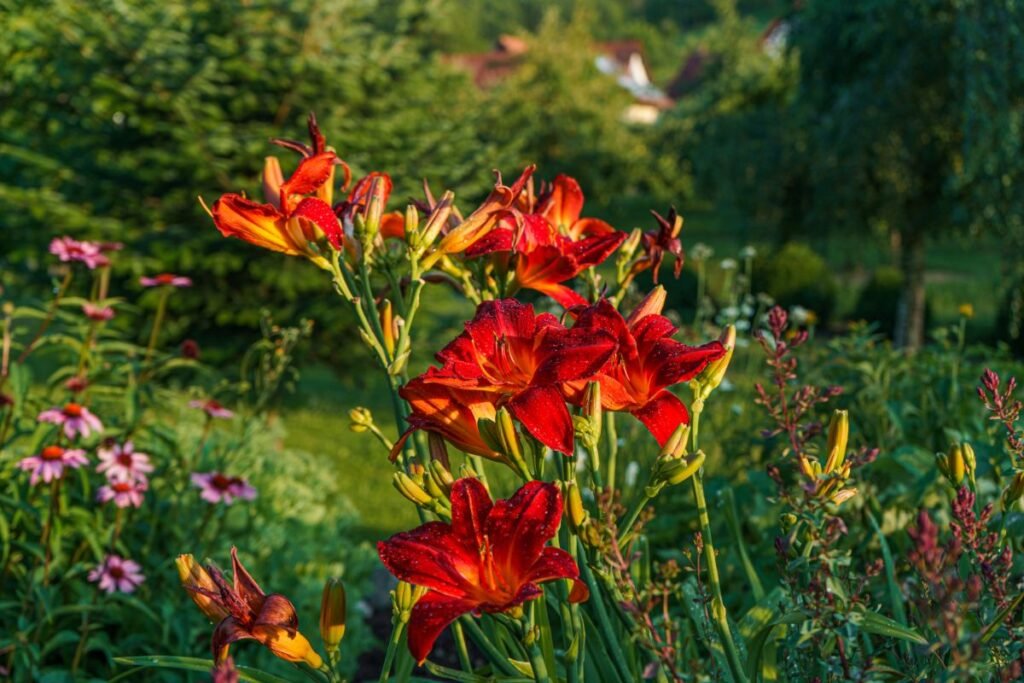 Viendienės