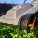 Žoliapjovės nustatymai: kaip pasirinkti tinkamą pjovimo aukštį pagal vejos tipą?