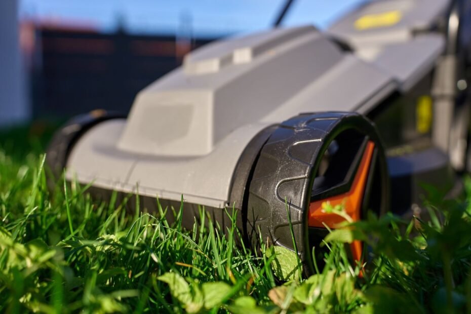 Žoliapjovės nustatymai: kaip pasirinkti tinkamą pjovimo aukštį pagal vejos tipą?