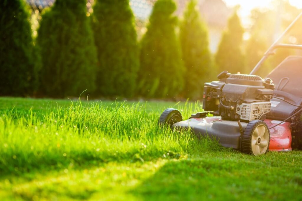 Kodėl žoliapjovės nustatymai ir pjovimo aukštis yra tokie svarbūs?
