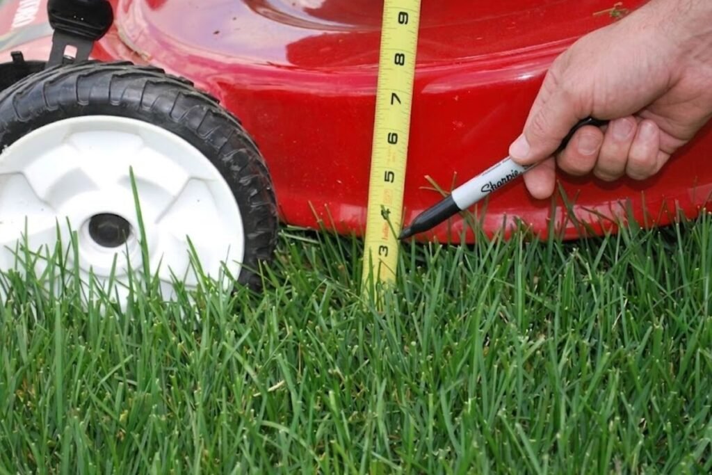 Kaip praktiškai nustatyti žoliapjovės aukštį?