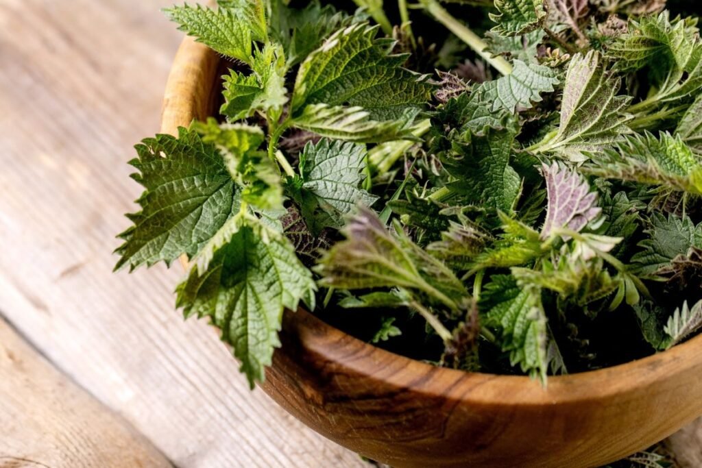 Ankstyvas pavasaris – kulinarinis ir vitamininis pikas
