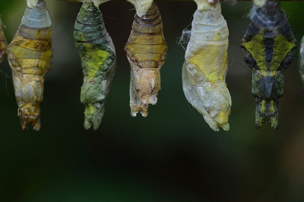 Penkios klaidos, kurias daro pradedantieji