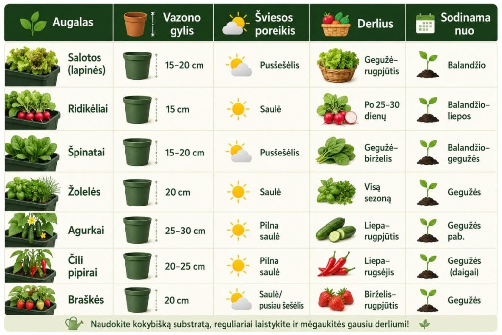 Pakabinamas vazonas daržovėms: kuris augalas tinka jūsų balkonui?