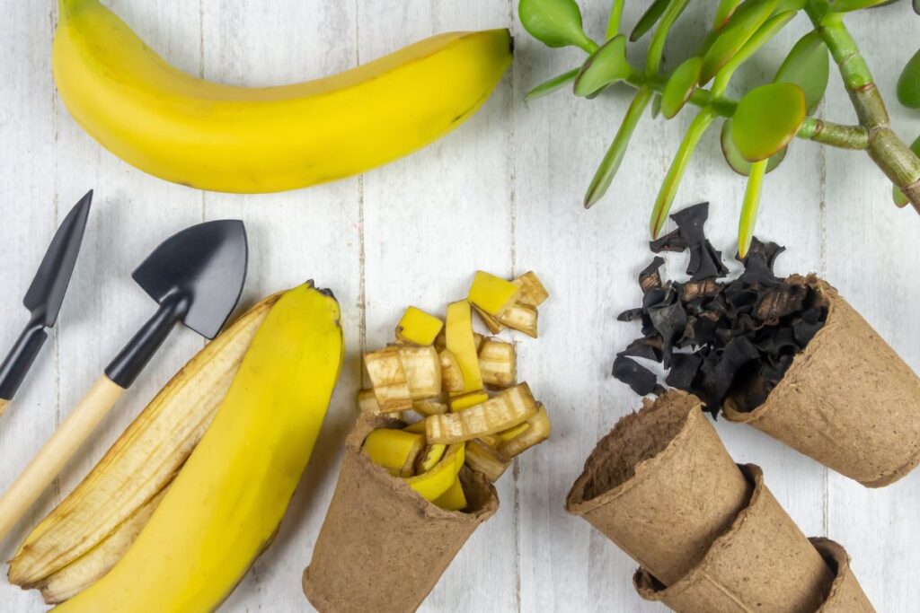 Ką naudingo turi bananų žievelės?
