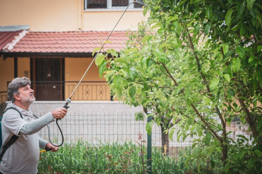 Kaip pašalinti suodžių pelėsį nuo lapų?
