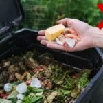 Ko negalima dėti į kompostą: klaidos, dėl kurių sugenda ne tik atliekos