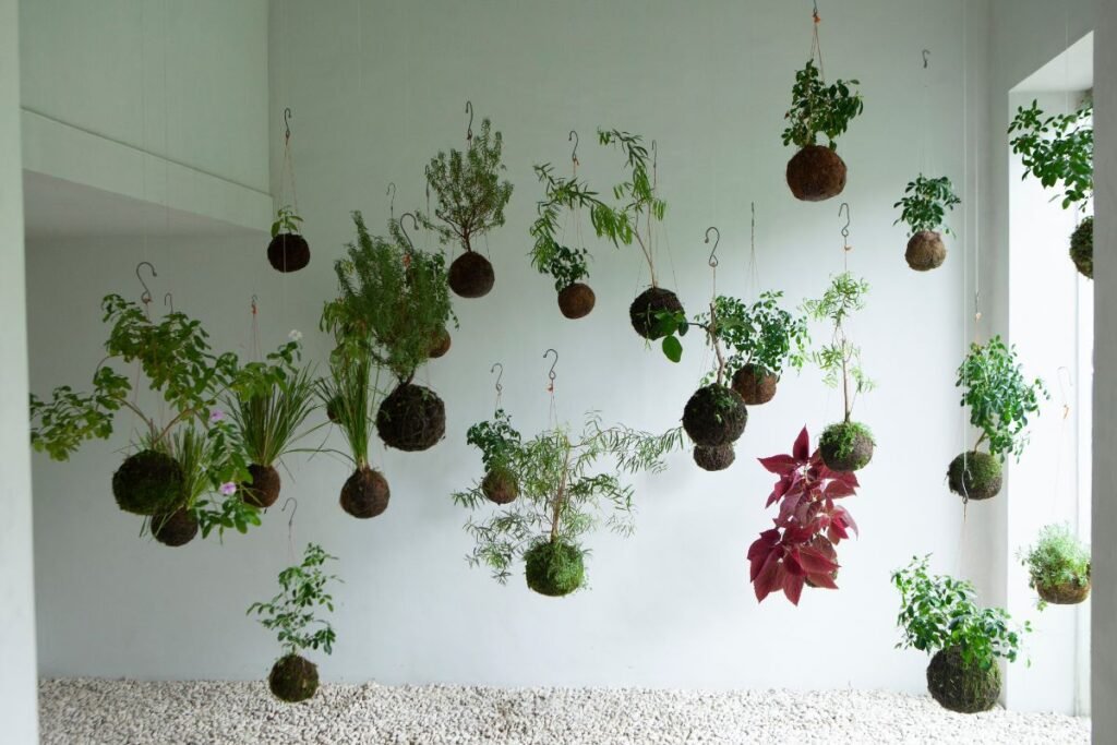 Kokedama privalumai soduose bei interjere