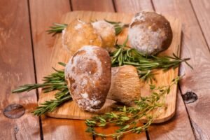 Grybų šaldymas be klaidų: kada virti, o kada šaldyti žalius?