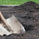 Ar reikia rudenį nukasti daržą? Kasimas prieš „no-dig“ metodą: ką iš tiesų geriau rinktis jūsų dirvai?