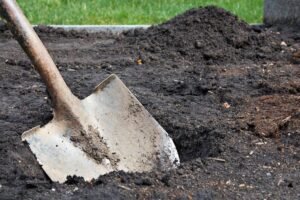 Ar reikia rudenį nukasti daržą? Kasimas prieš „no-dig“ metodą: ką iš tiesų geriau rinktis jūsų dirvai?
