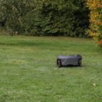 Vejapjovė robotas žiemą: kaip paruošti, kur laikyti ir ar galima palikti tiesiog lauke?