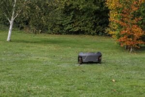 Vejapjovė robotas žiemą: kaip paruošti, kur laikyti ir ar galima palikti tiesiog lauke?